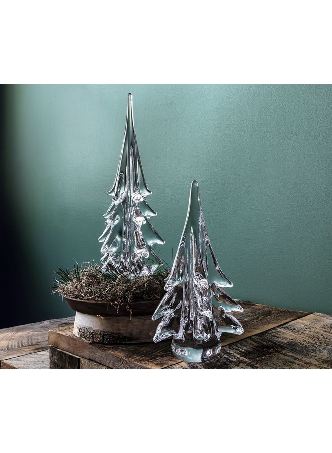 Spruce Evergreen in Gift Box - 10in