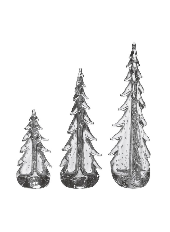 Bubble Evergreen in Gift Box - 16in