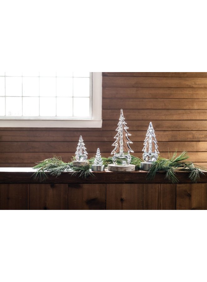 Vermont Evergreen in Gift Box -  20"