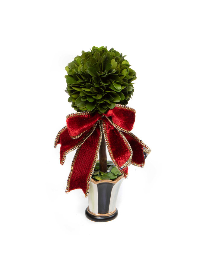 Christmas Magic Boxwood Topiary - Mini