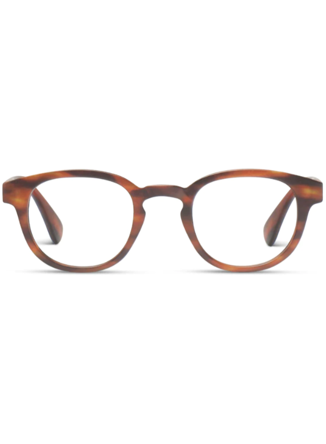 Scout Readers Tortoise Horn