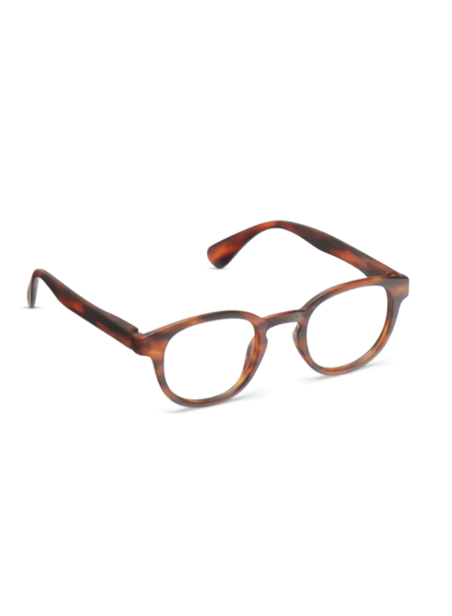 Scout Readers Tortoise Horn