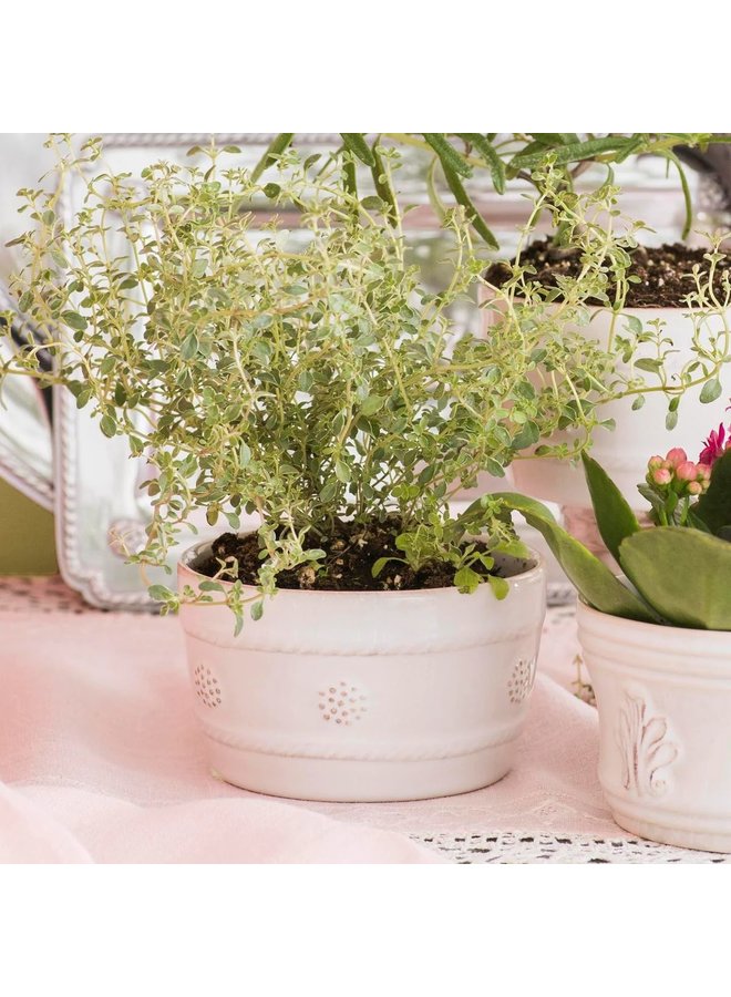 Berry & Thread  Ramekin - Whitewash