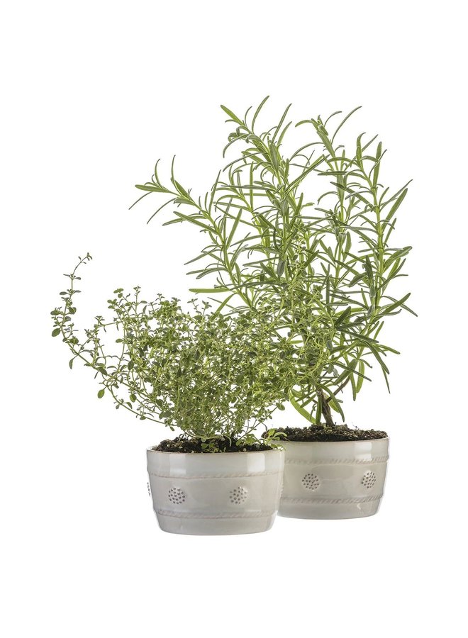 Berry & Thread  Ramekin - Whitewash