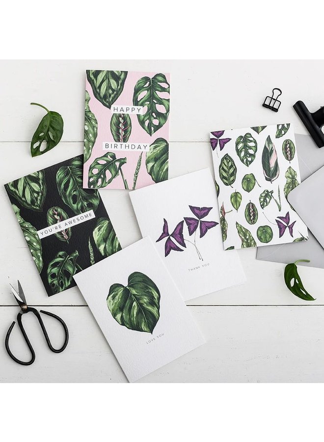 Houseplants - You're Awesome