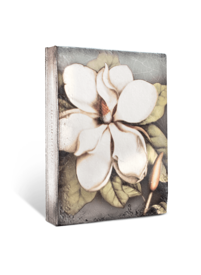 Magnolia
