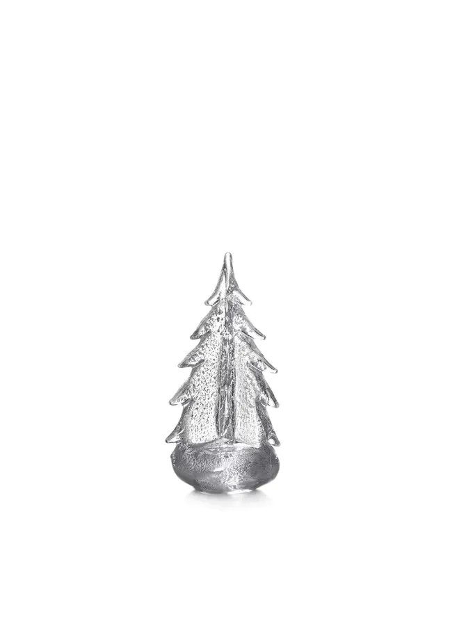 Silver Leaf Evergreen in Gift Box - 10in