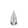 Silver Leaf Evergreen in Gift Box - 10in