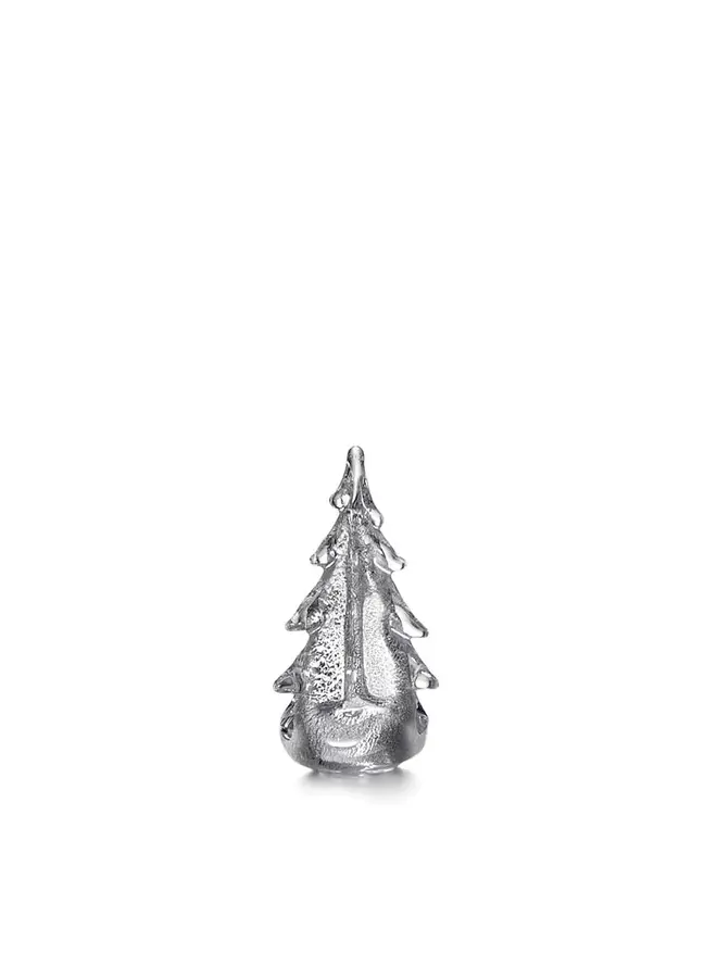 Silver Leaf Evergreen in Gift Box - 6in