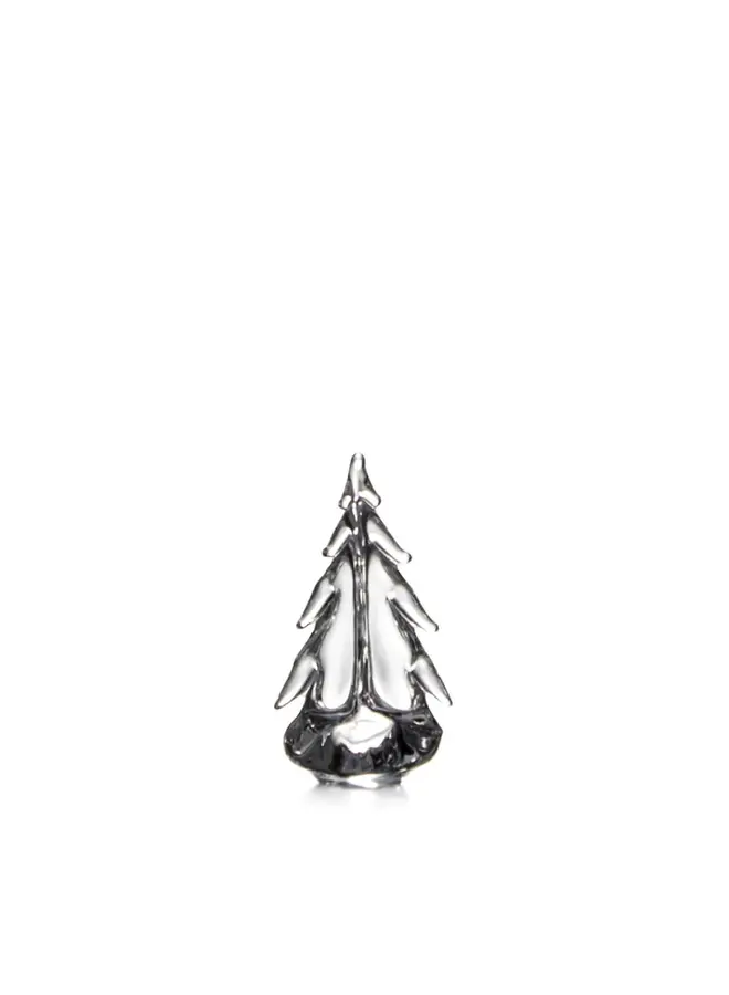 Vermont Evergreen in Gift Box - 6"