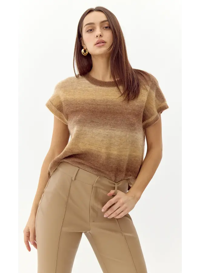 Alisha Ombre Knit Top