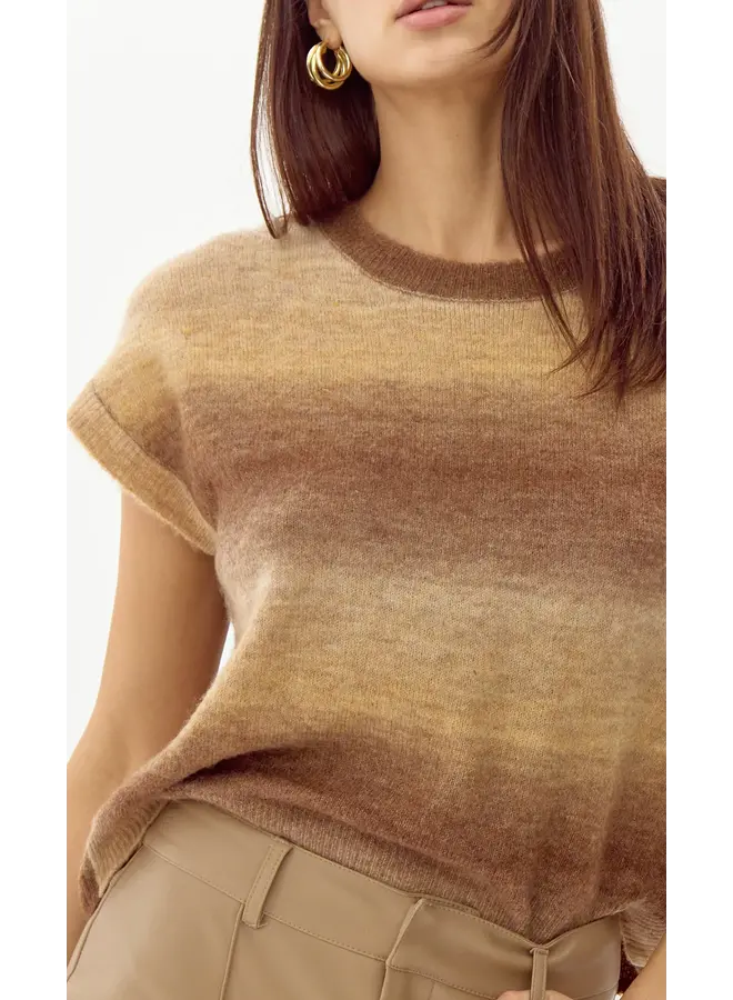 Alisha Ombre Knit Top