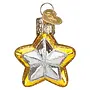 Mini Star Ornament
