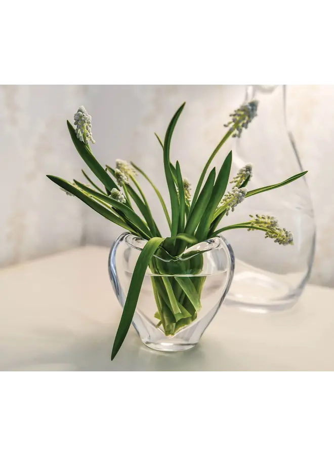 Romance Vase - S
