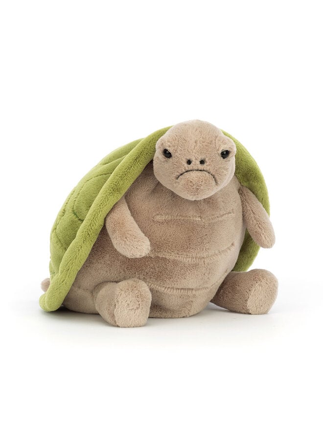 Timmy Turtle