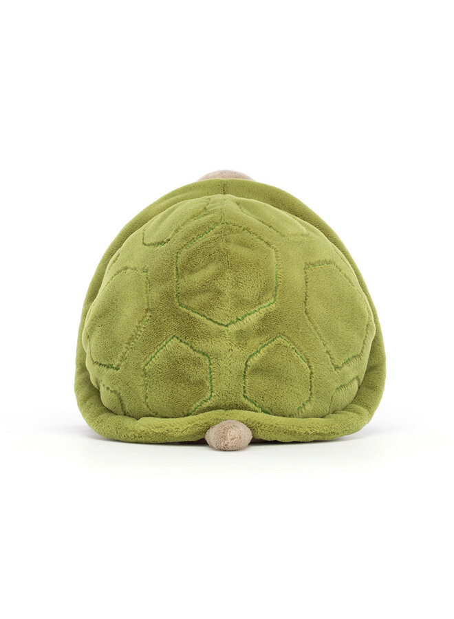 Timmy Turtle