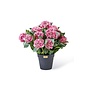 Pink Hydrangea Urn Filler