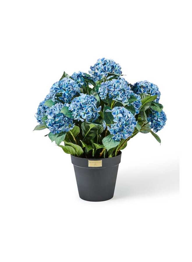 Blue Hydrangea Urn Filler