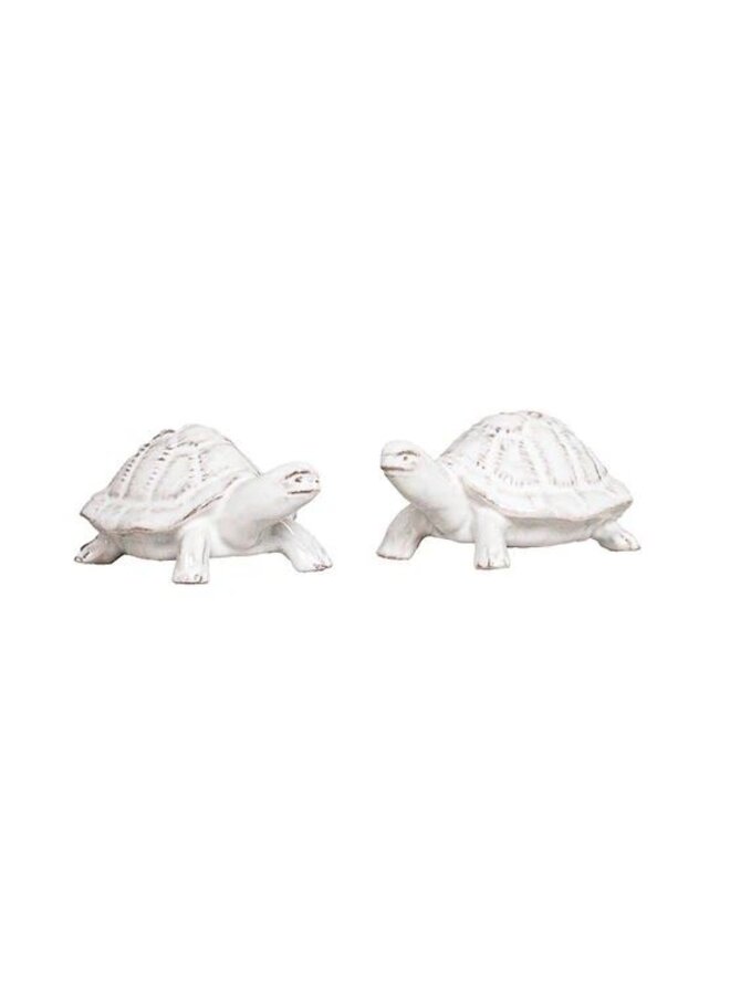 Clever Creatures  Turtle Salt and Pepper Shakers Set/2pc