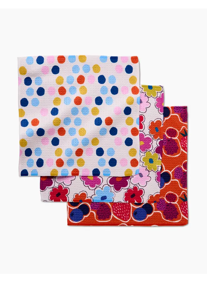 Carnival Fling Dishcloth Set