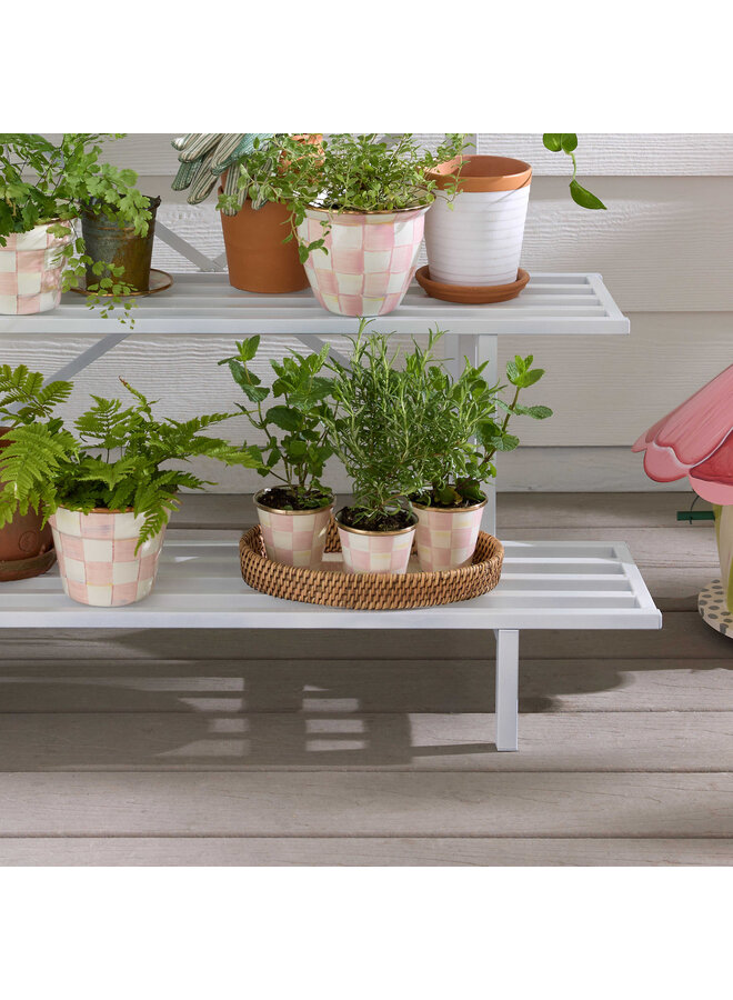 Rosy Check Herb Pots, Set of 3