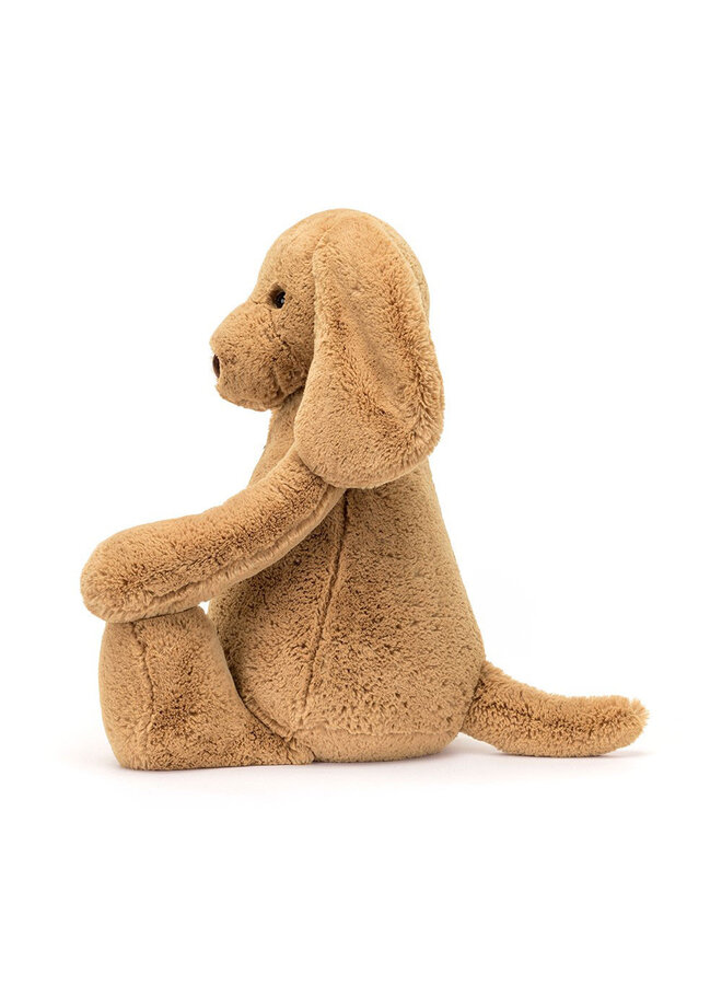 Bashful Toffee Puppy Really Big