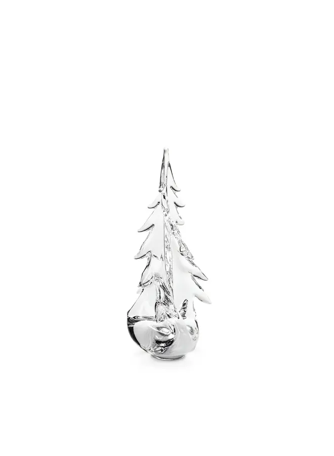Vermont Twist Evergreen in Gift Box - 14 in