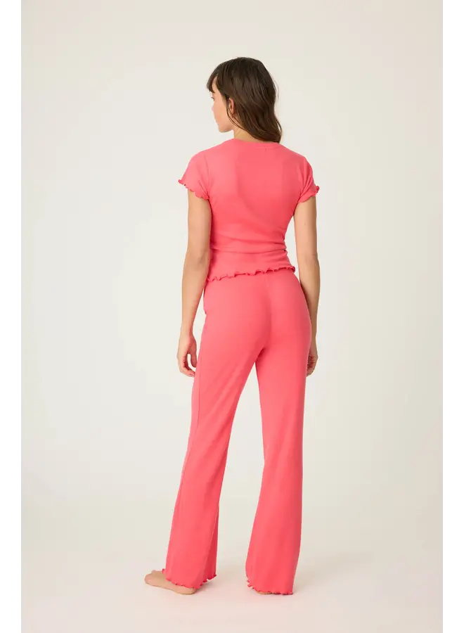 Tropical Dreams Pant Raspeberry
