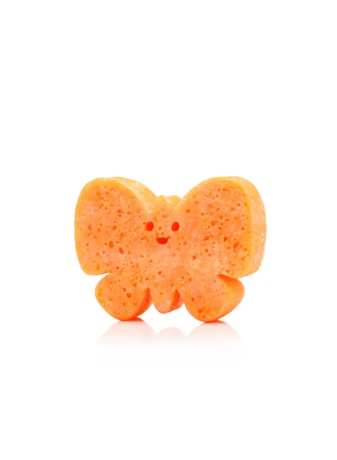 Bella Butterfly Nature Animals Sponge