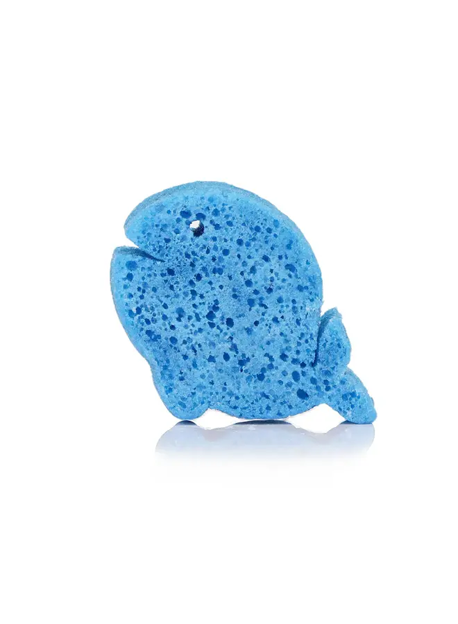 Walter Whale | Sea Animals