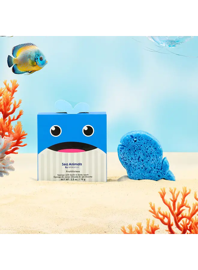 Walter Whale | Sea Animals