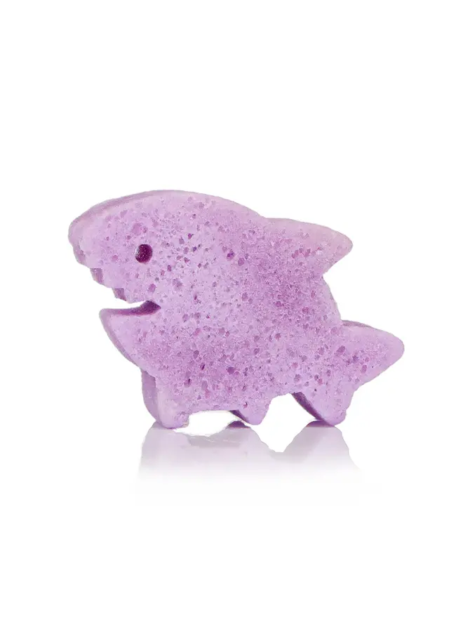 Sammy Shark | Sea Animals