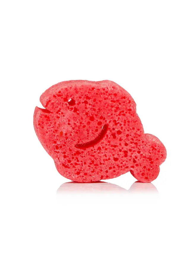 Fiona Fish | Sea Animals