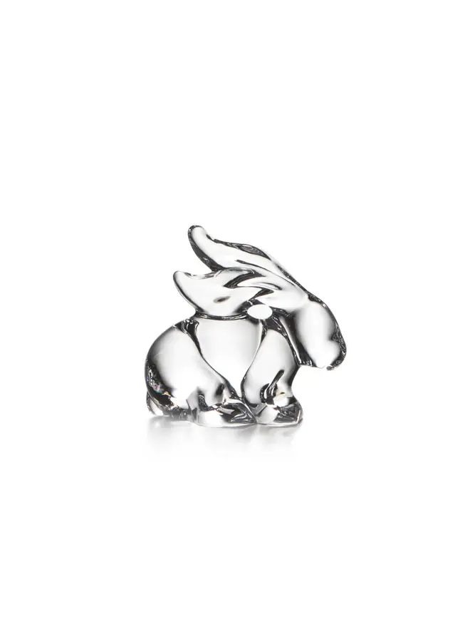 Rabbit in Gift Box