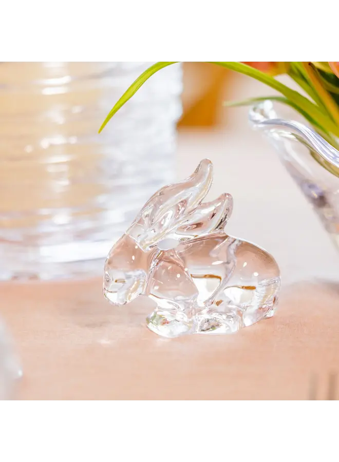 Rabbit in Gift Box