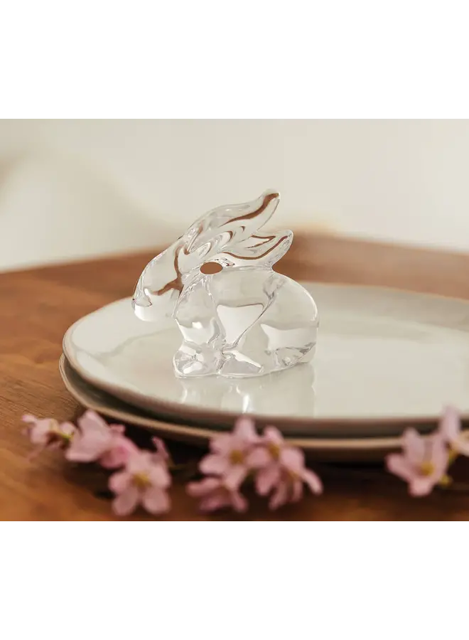 Rabbit in Gift Box