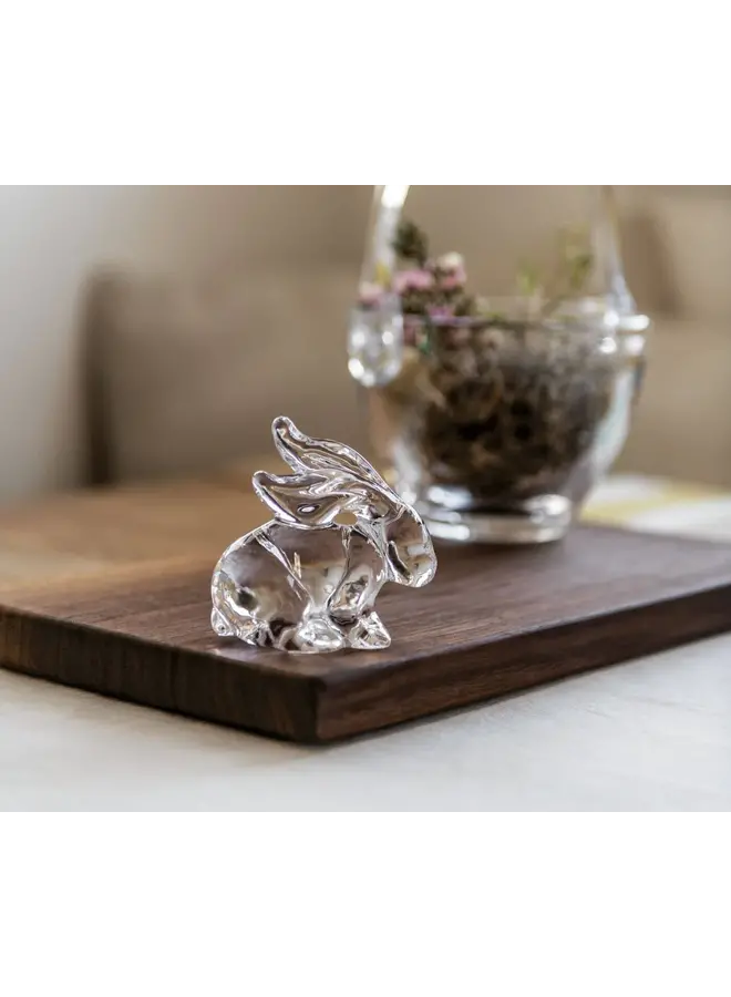 Rabbit in Gift Box