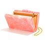 Liz Acetate Clutch -