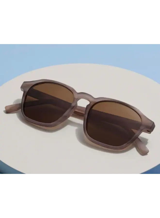 Sebastian Reading Sunglasses Chai Horn