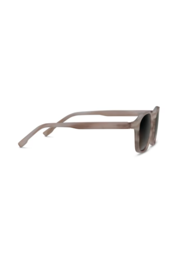 Sebastian Reading Sunglasses Chai Horn