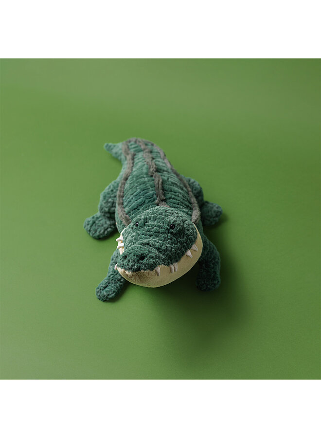 Allexi Alligator