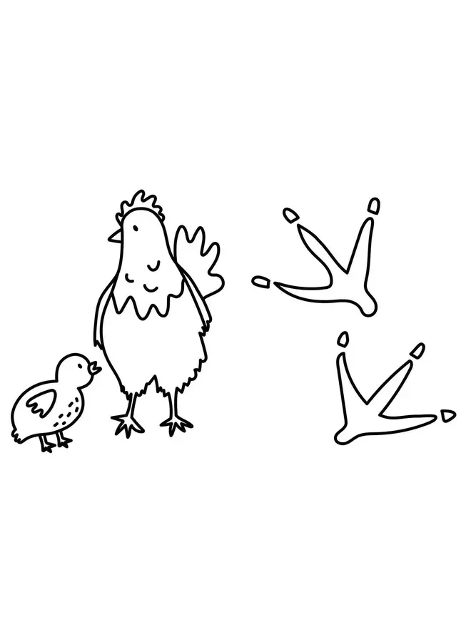 My First Big Book of Farm Animals