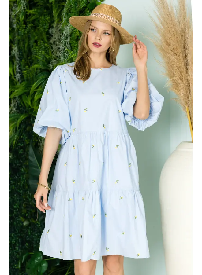 Weslee Cotton Poplin Dress with Embroidered Summer Flowers - M