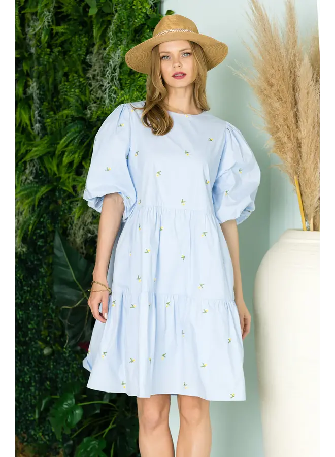 Weslee Cotton Poplin Dress with Embroidered Summer Flowers - M