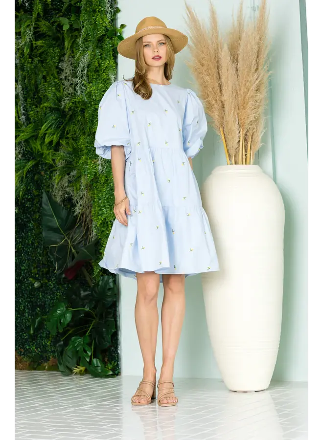 Weslee Cotton Poplin Dress with Embroidered Summer Flowers - M