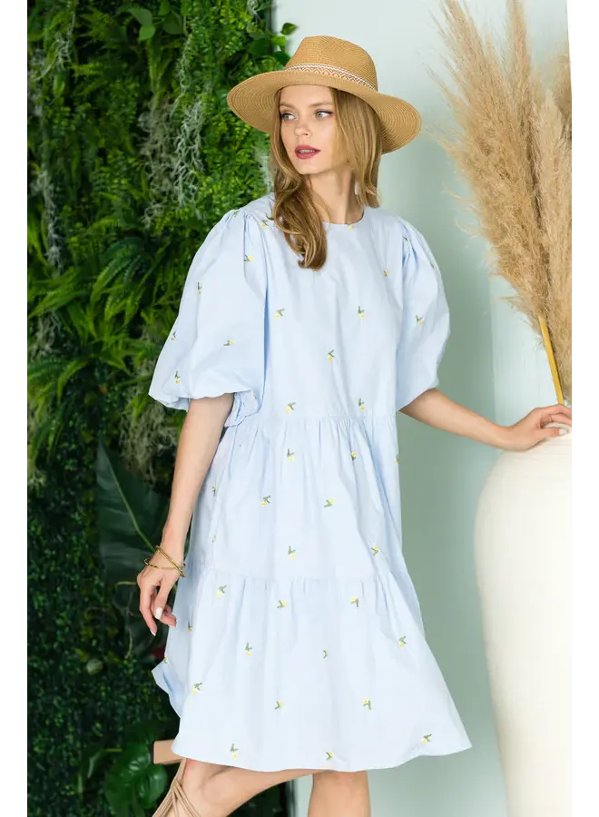 Weslee Cotton Poplin Dress with Embroidered Summer Flowers - M
