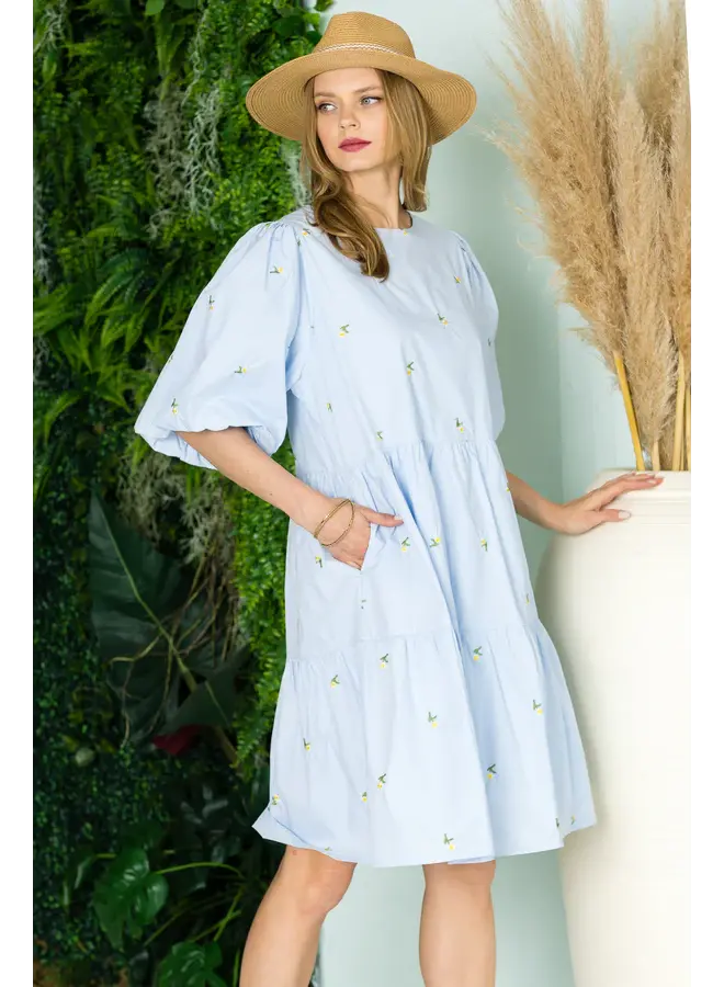 Weslee Cotton Poplin Dress with Embroidered Summer Flowers - M