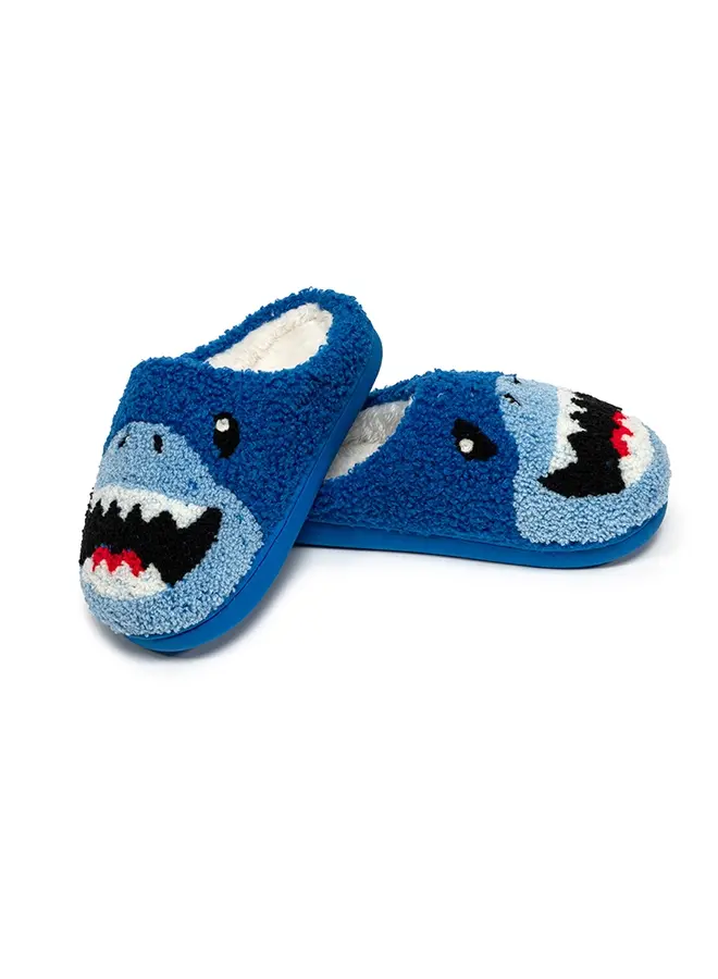 Kids Slippers -