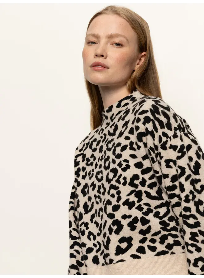 Soft Touch Popover - Spots -