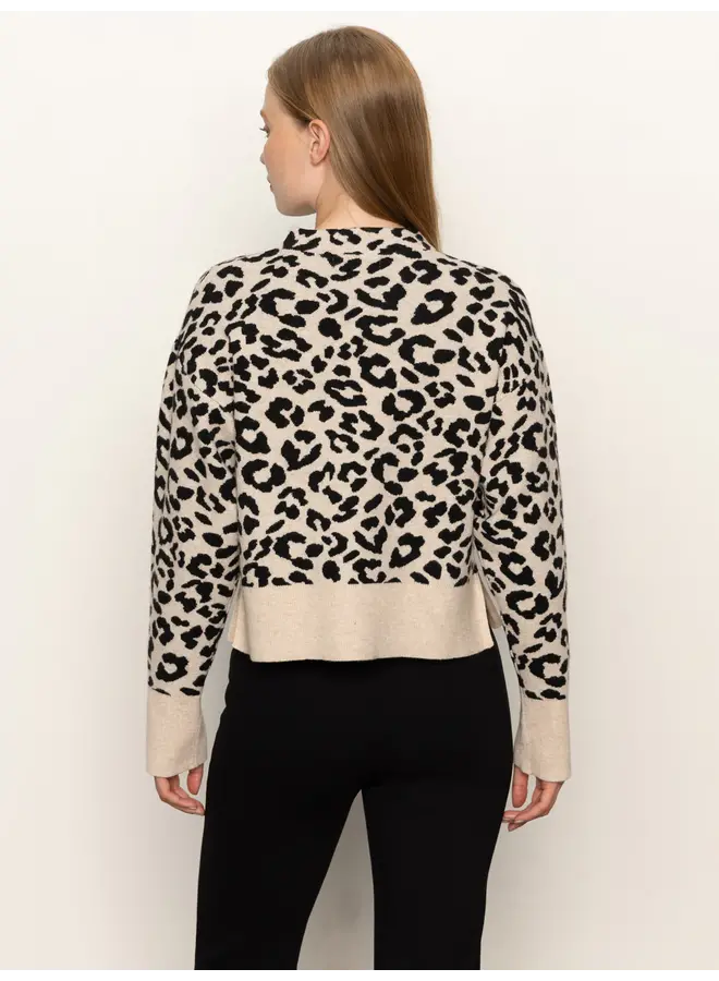 Soft Touch Popover - Spots -